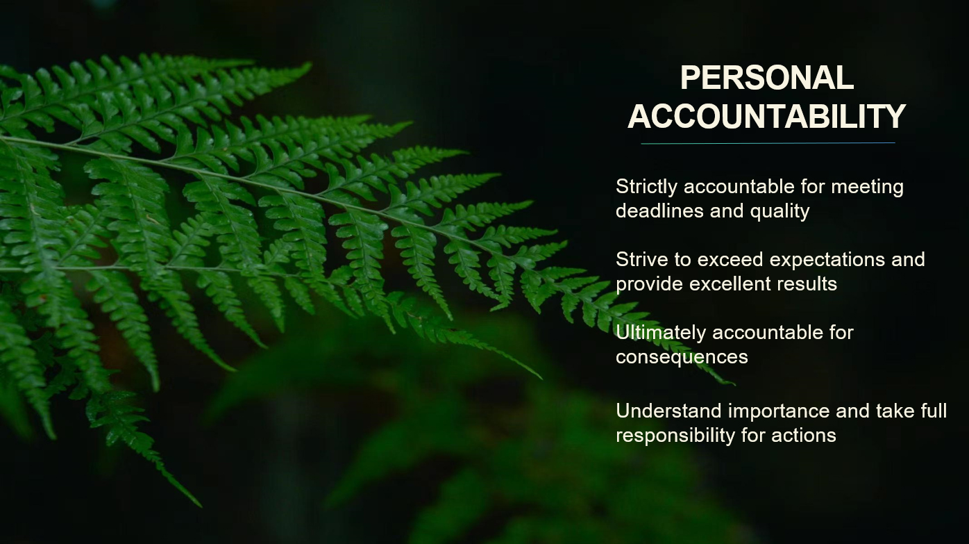 PERSONAL ACCOUNTABILITY
