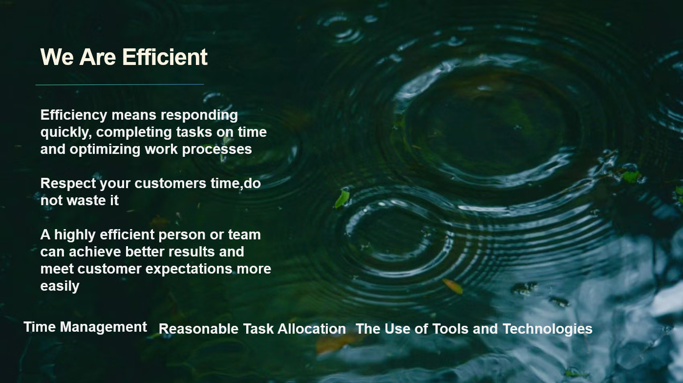 We Are Efficient