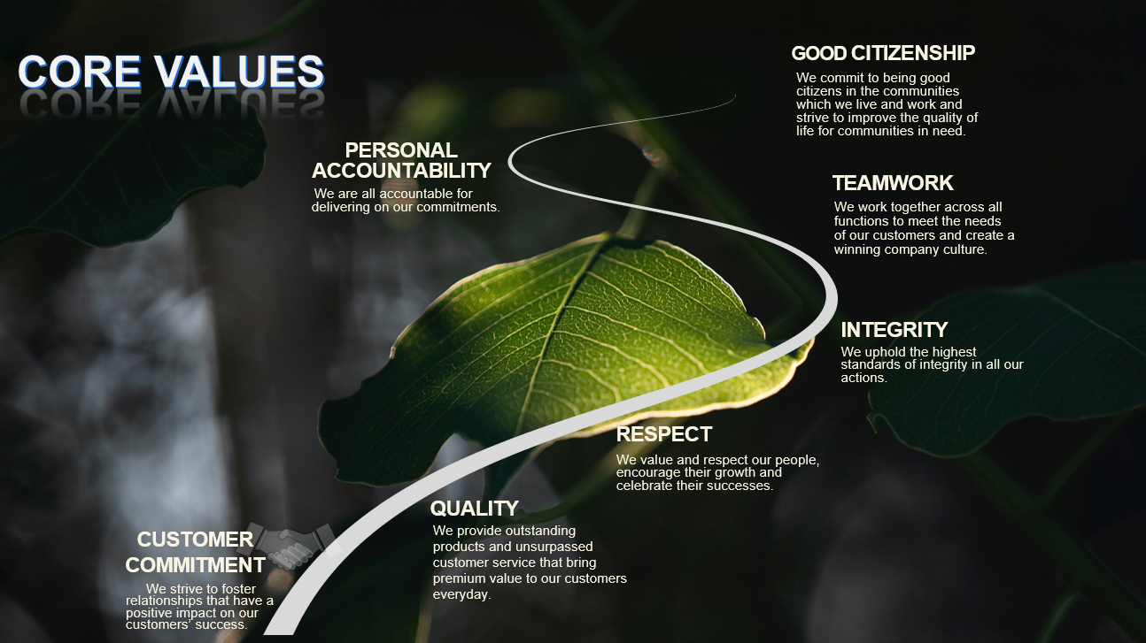 CORE VALUES