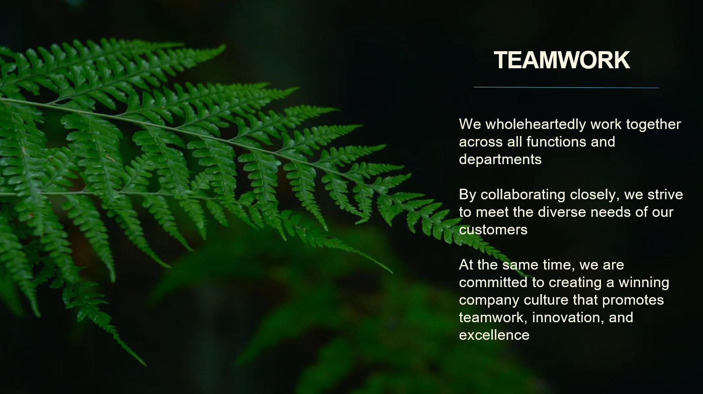 TEAMWORK