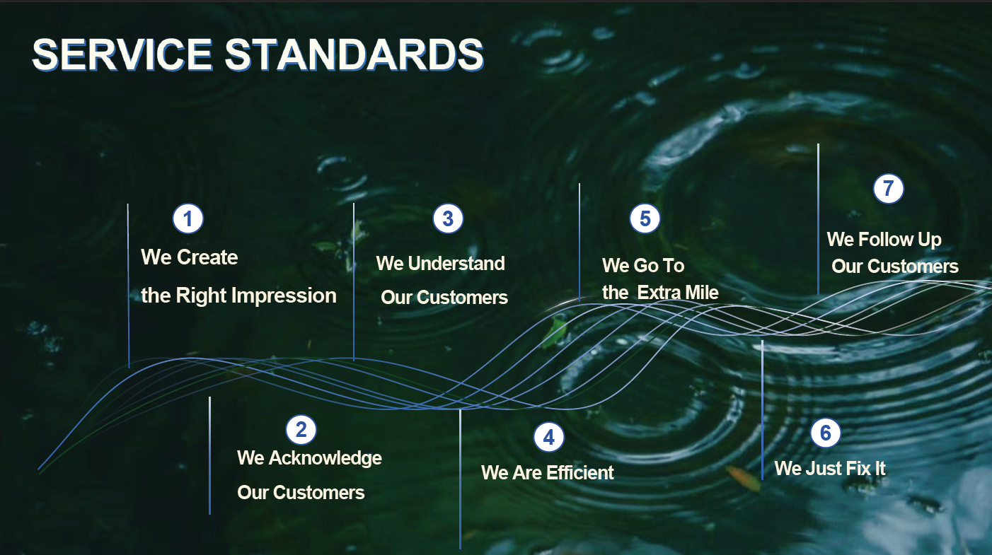 SERVIVE STANDARDS